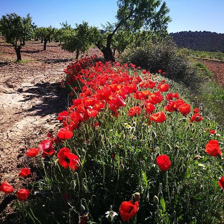 Cortijo Los Soledad El Sauco Εξωτερικό φωτογραφία