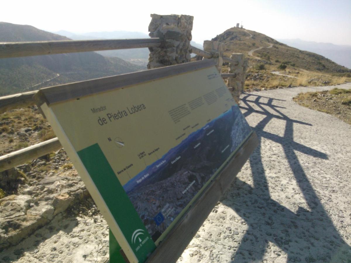 Cortijo Los Soledad El Sauco Εξωτερικό φωτογραφία