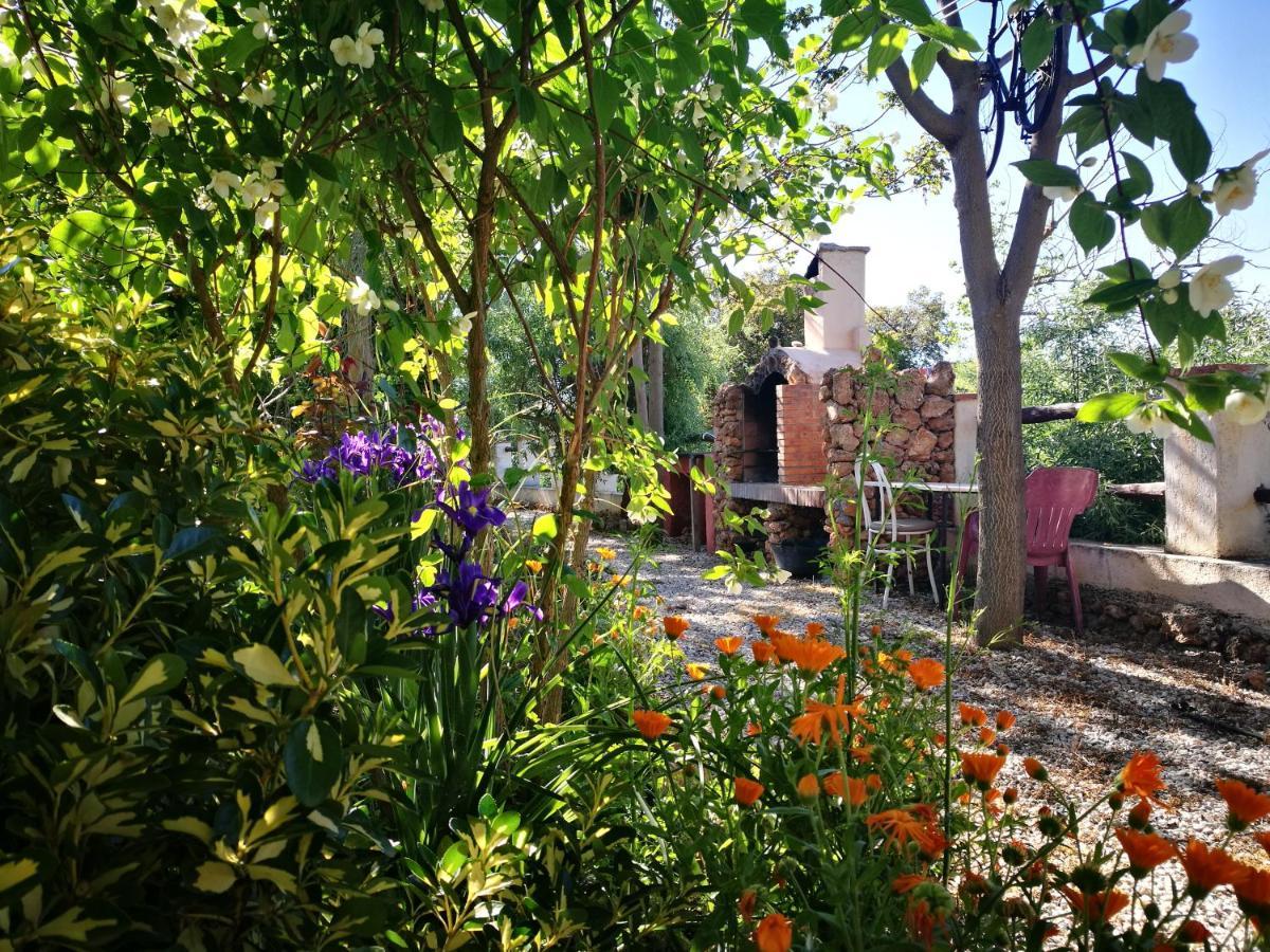 Cortijo Los Soledad El Sauco Εξωτερικό φωτογραφία