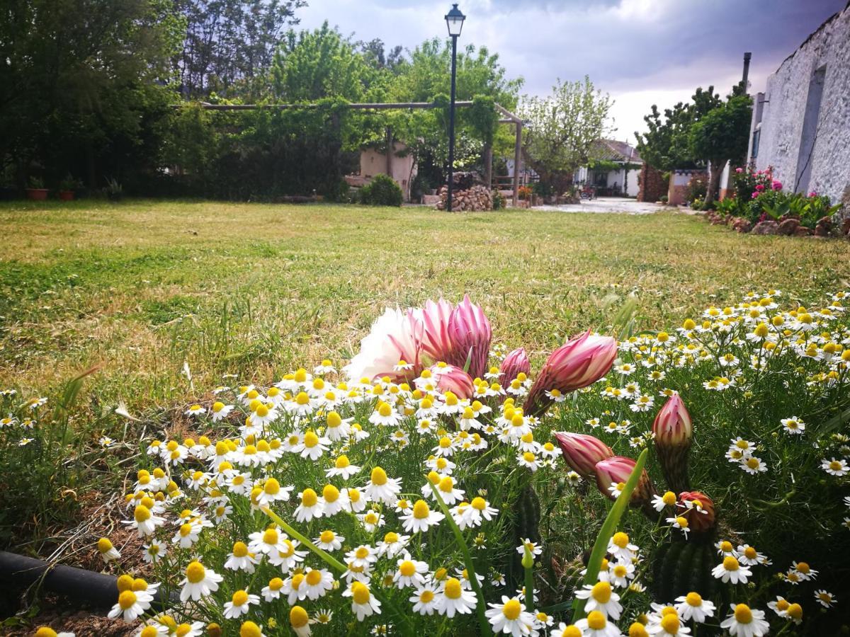 Cortijo Los Soledad El Sauco Εξωτερικό φωτογραφία
