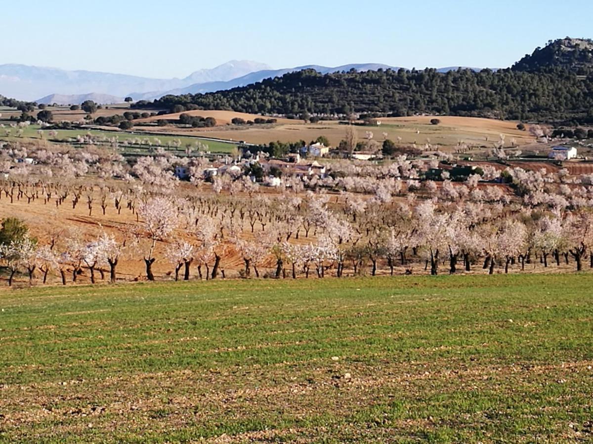 Cortijo Los Soledad El Sauco Εξωτερικό φωτογραφία