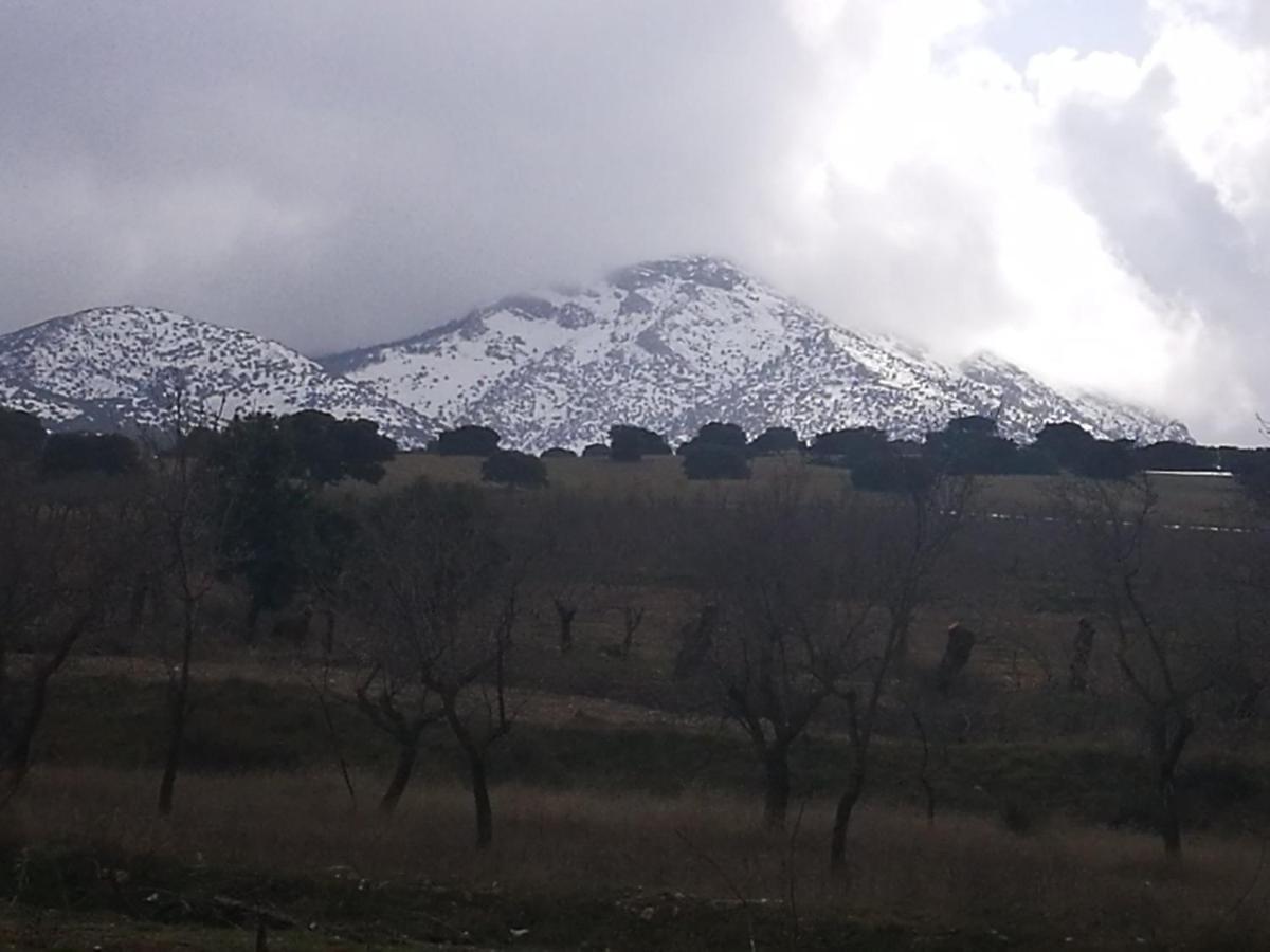 Cortijo Los Soledad El Sauco Εξωτερικό φωτογραφία