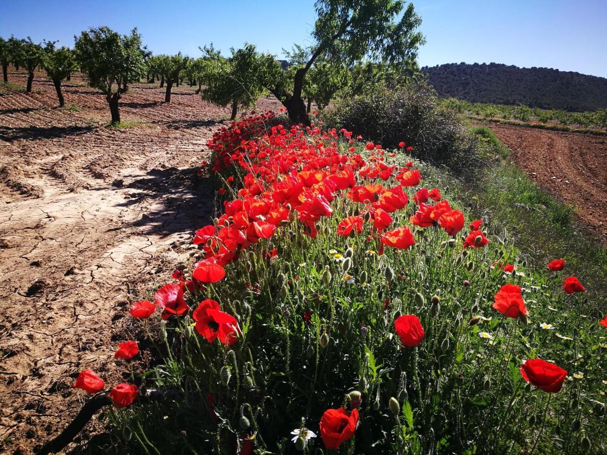 Cortijo Los Soledad El Sauco Εξωτερικό φωτογραφία