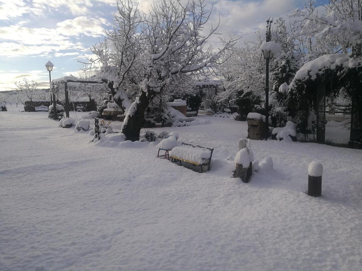 Cortijo Los Soledad El Sauco Εξωτερικό φωτογραφία