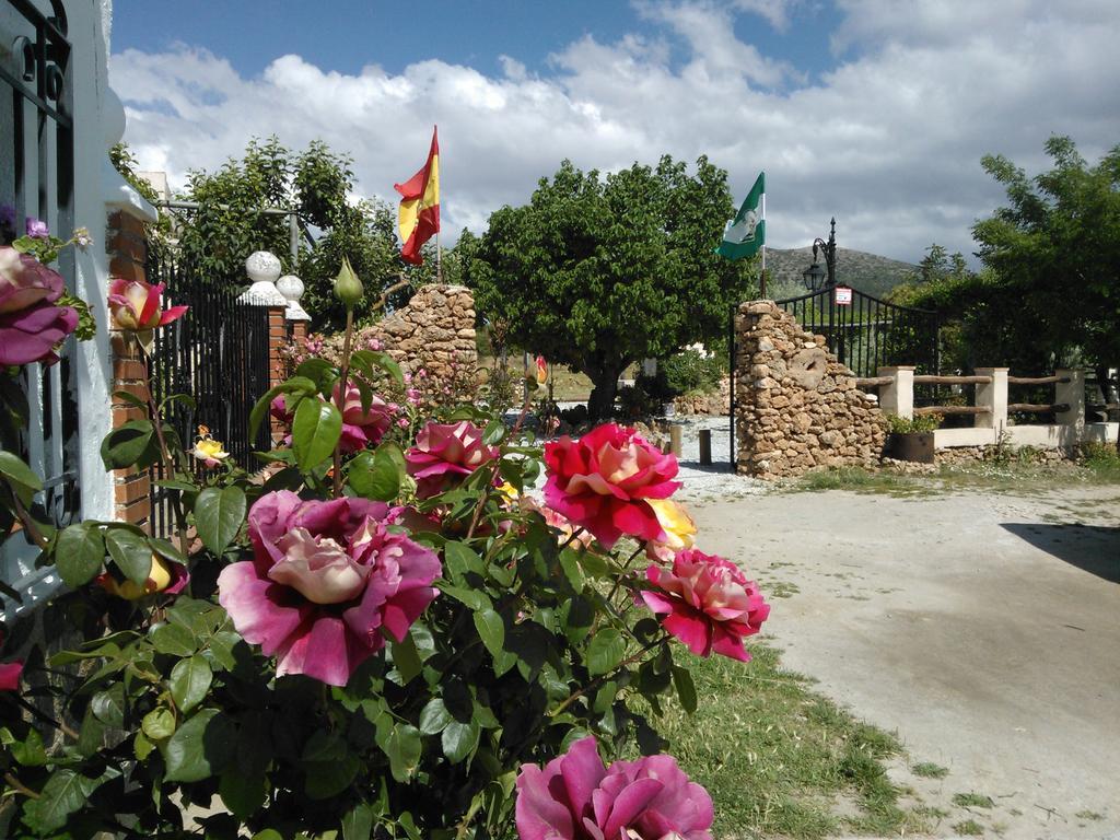 Cortijo Los Soledad El Sauco Εξωτερικό φωτογραφία