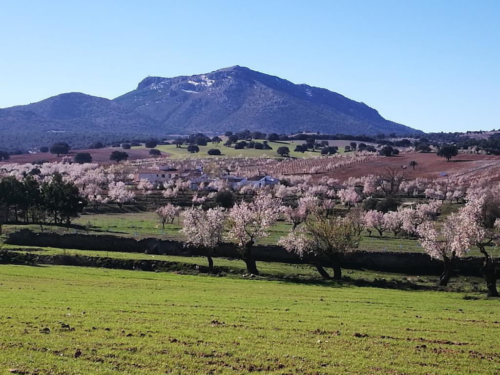 Cortijo Los Soledad El Sauco Εξωτερικό φωτογραφία