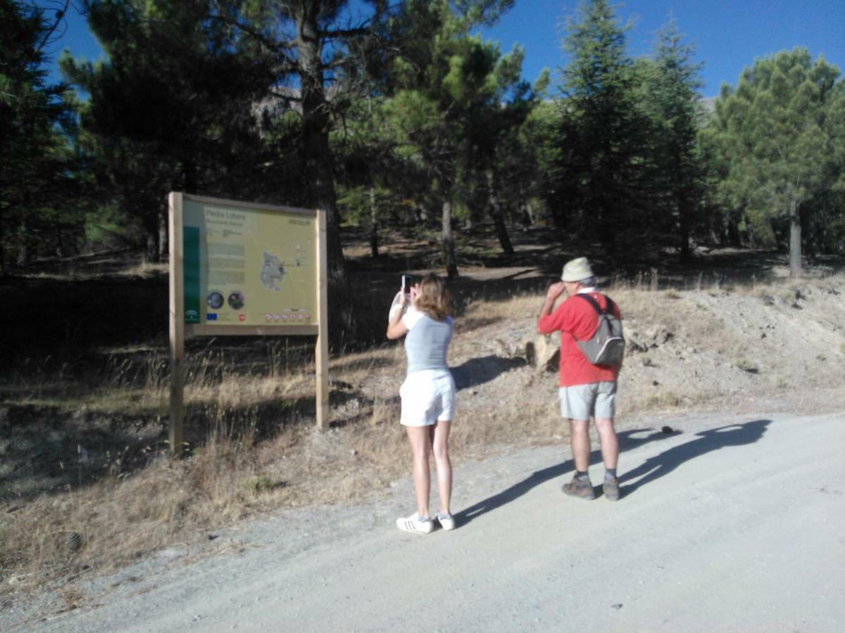 Cortijo Los Soledad El Sauco Εξωτερικό φωτογραφία