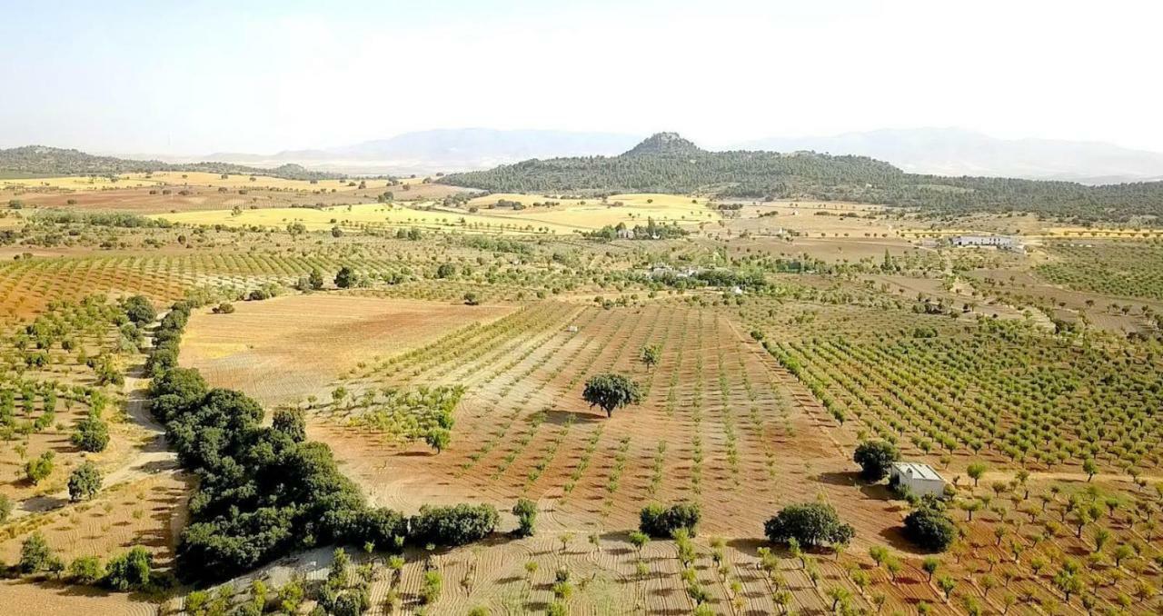 Cortijo Los Soledad El Sauco Εξωτερικό φωτογραφία