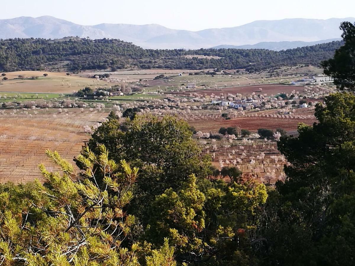 Cortijo Los Soledad El Sauco Εξωτερικό φωτογραφία